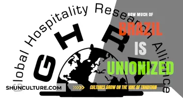 Brazil's Unionized Workforce: Understanding Membership and Labor Movement Impact