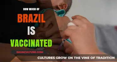 Brazil's Vaccination Progress: How Much of the Population is Protected?