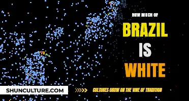 Brazil's Racial Demographics: Exploring the White Population Percentage
