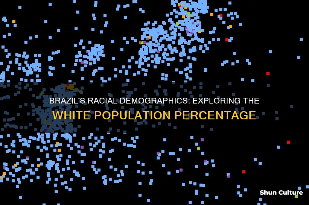how much of brazil is white