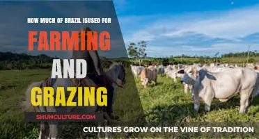 Brazil's Land Use: Farming and Grazing Dominance Explained