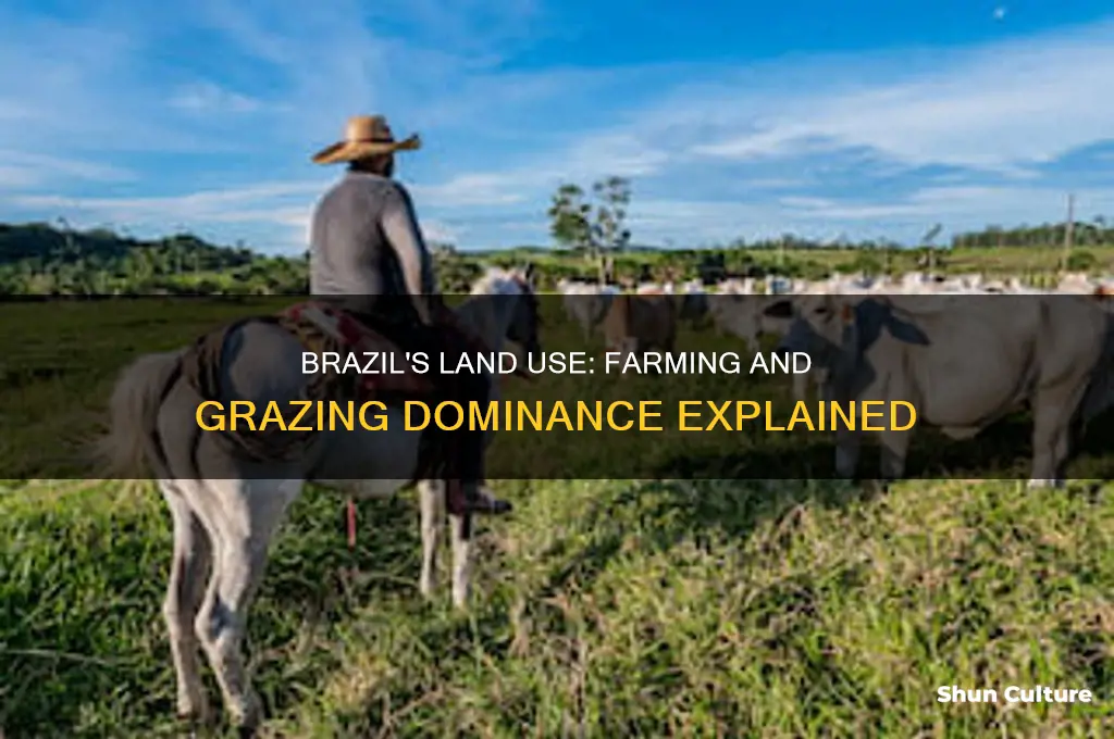 how much of brazil isused for farming and grazing