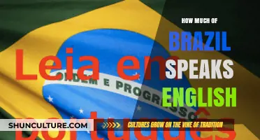 English Proficiency in Brazil: How Widely is it Spoken?