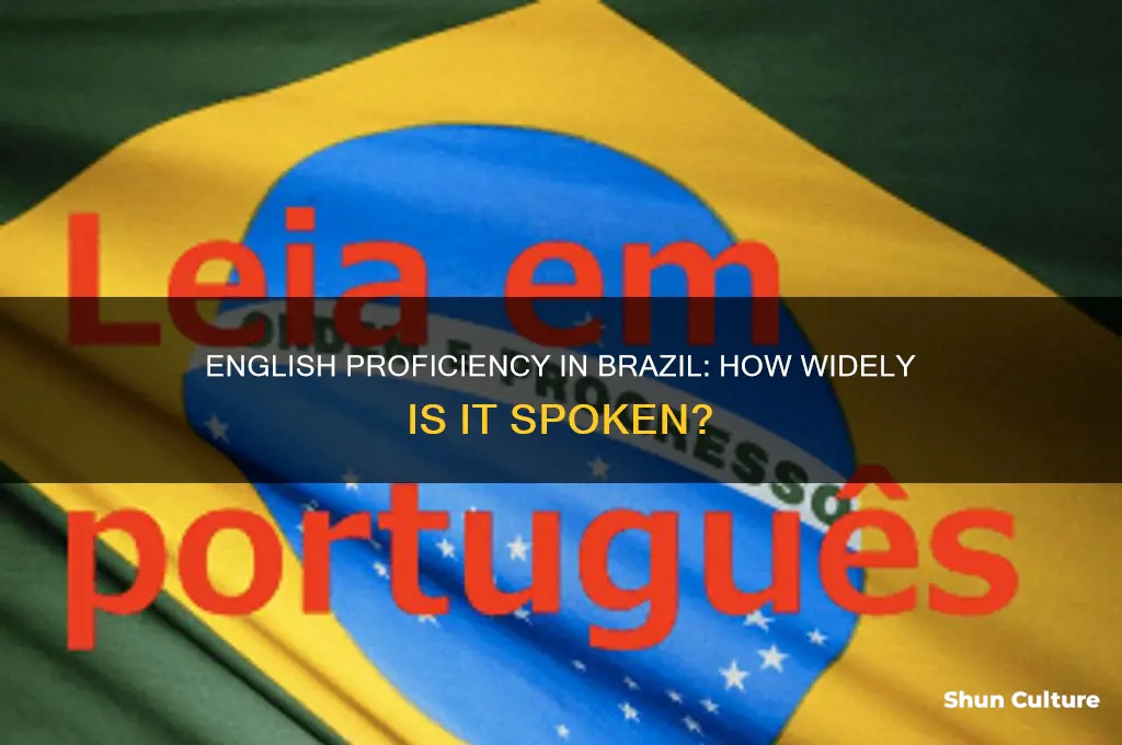 how much of brazil speaks english