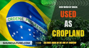 Brazil's Cropland Expansion: Assessing Agricultural Land Use and Impact