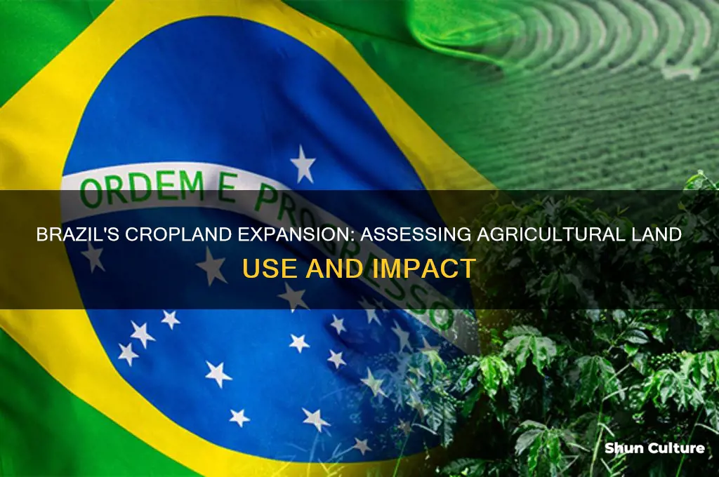how much of brazil used as cropland