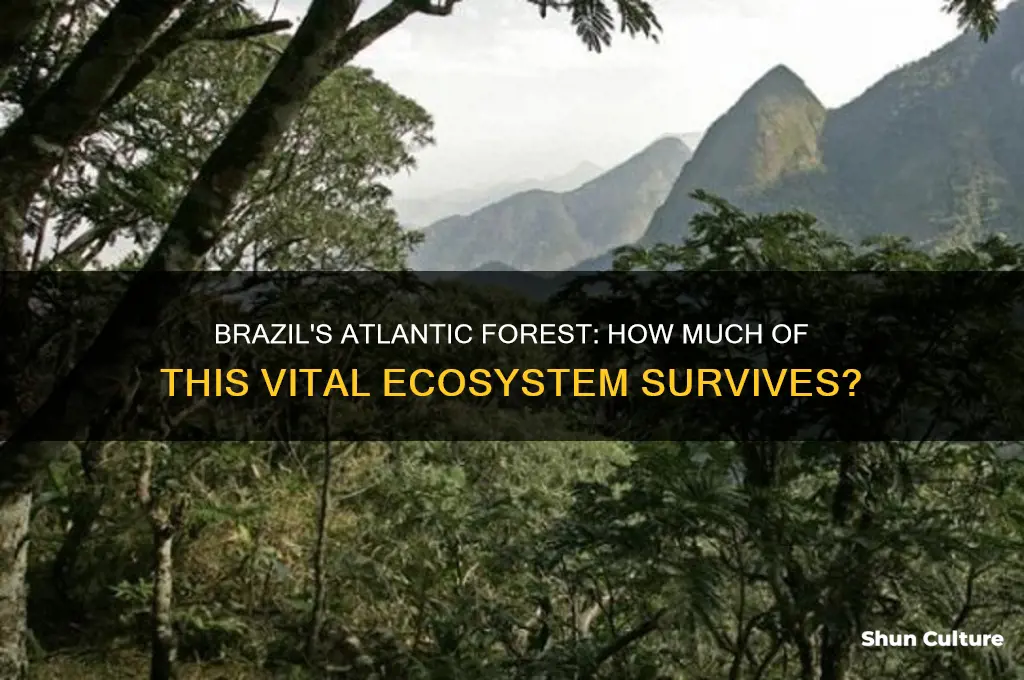 how much of brazils atlantic forest remains