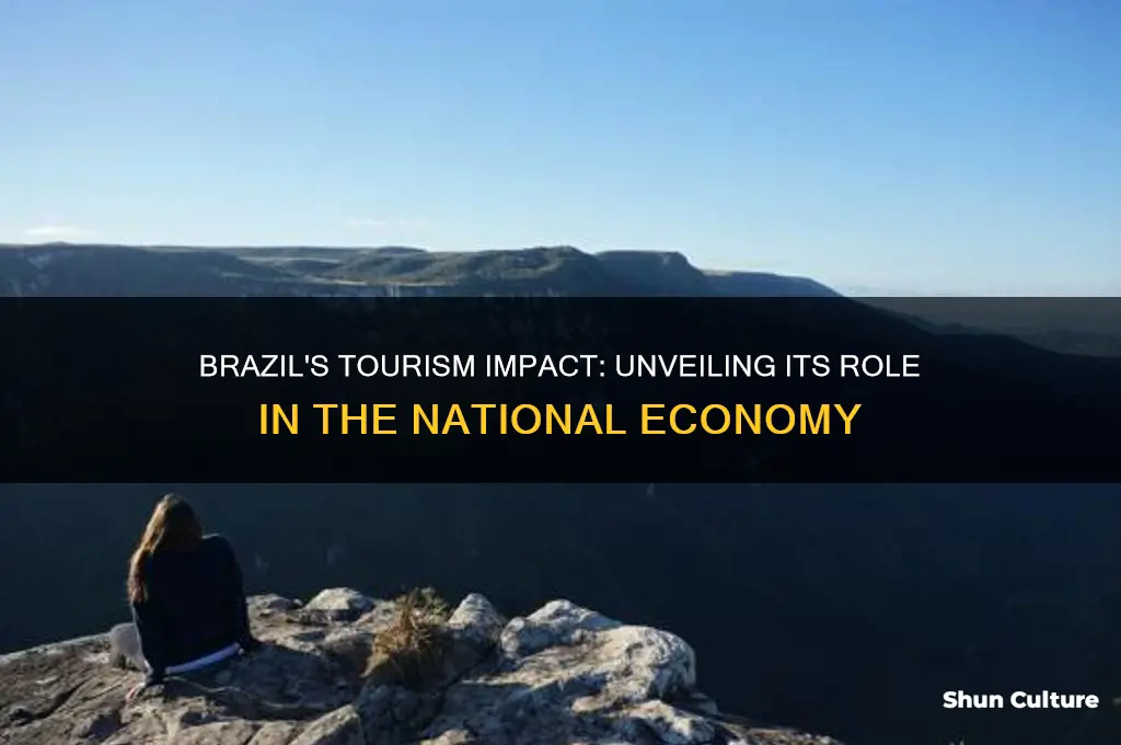 how much of brazils economy is based upon tourism