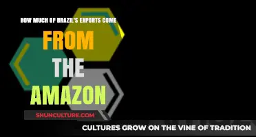 Brazil's Amazon Exports: Unveiling the Rainforest's Economic Contribution