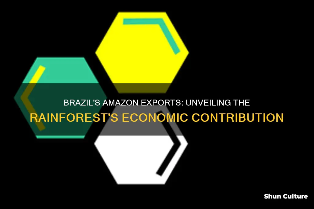 how much of brazil