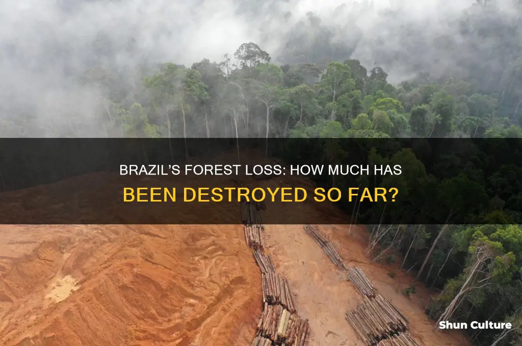 how much of brazils forest has been destroyed