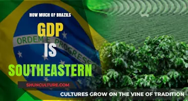 Southeastern Brazil's Economic Powerhouse: Its Share of National GDP
