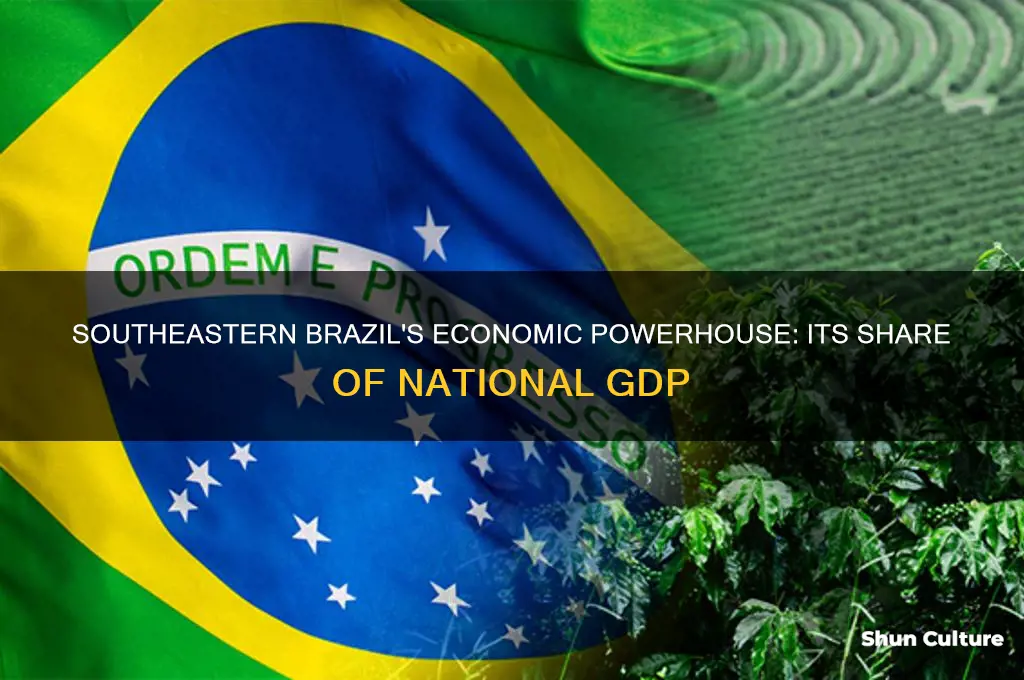 how much of brazils gdp is southeastern