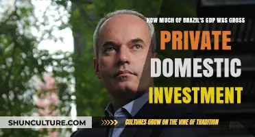 Brazil's GDP: Analyzing the Role of Private Domestic Investment