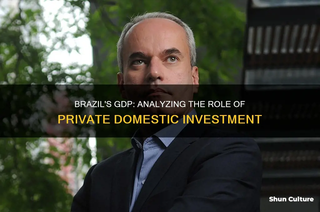 how much of brazil