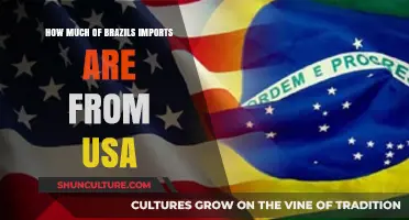 Brazil's Trade Ties: Analyzing US Imports and Economic Impact