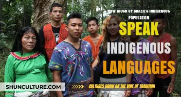 Brazil's Indigenous Languages: How Many Speakers Remain Today?
