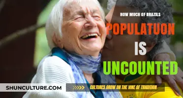 Uncounted Brazilians: The Hidden Population and Its Impact on Society