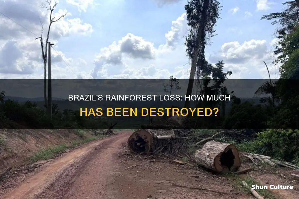how much of brazil
