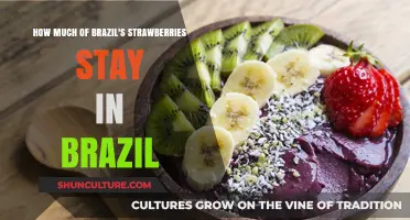 Brazil's Strawberry Market: How Much Stays Local vs. Exported?