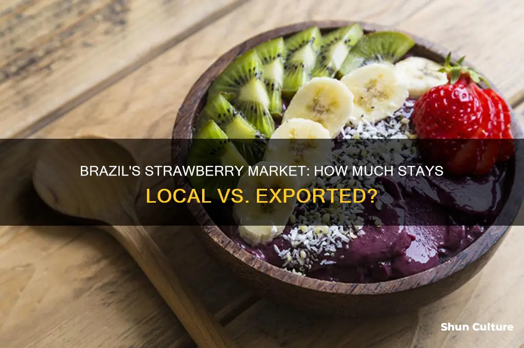 how much of brazil