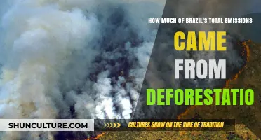 Brazil's Deforestation Crisis: Uncovering Its Share in National Emissions