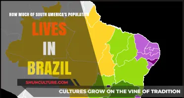 Brazil's Dominance: How Much of South America's Population Resides Within?