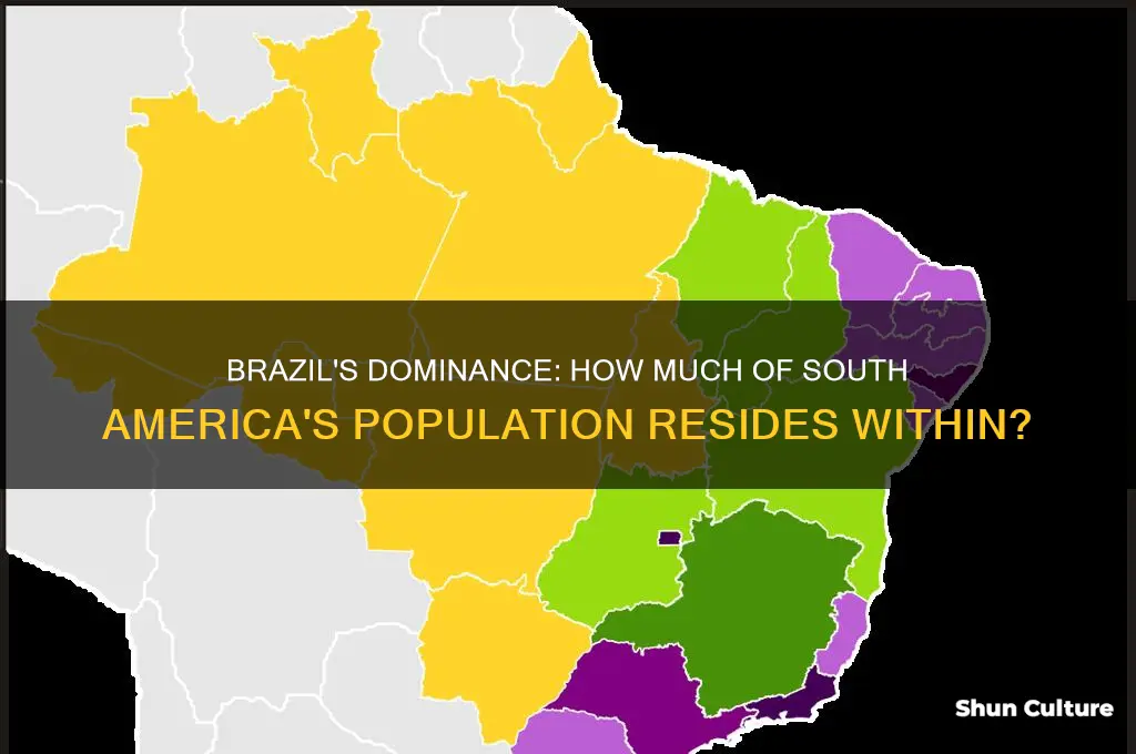 how much of south america