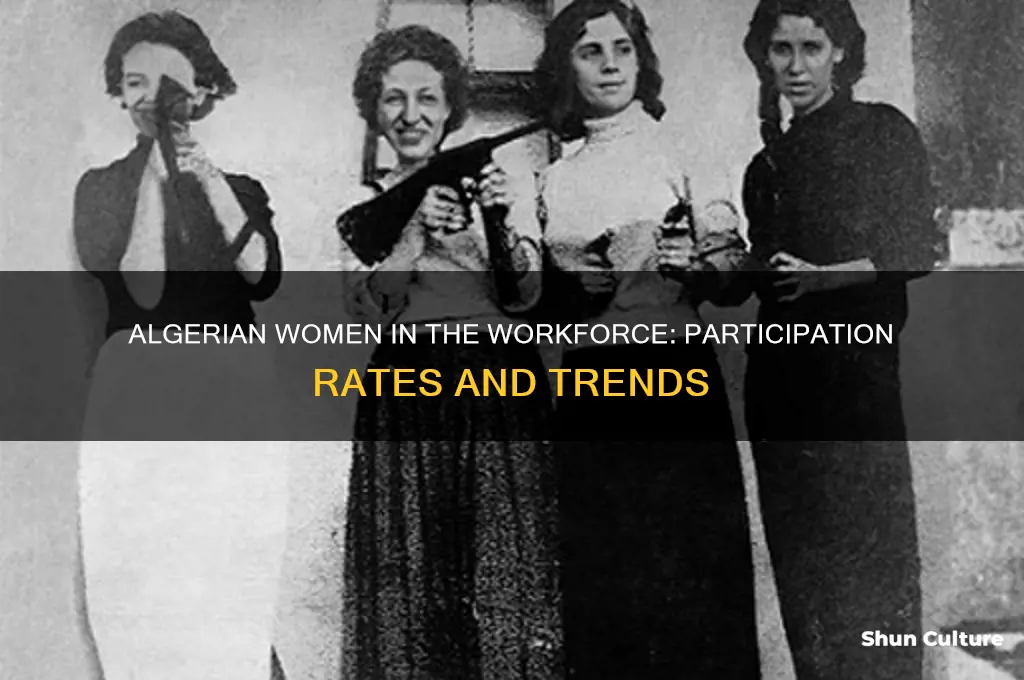 how much of the algerian workforce is women