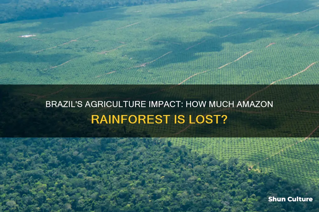 how much of the amazon is destroyed by brazil agriculture