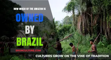 Brazil's Amazon Ownership: Uncovering the Extent of Its Territory