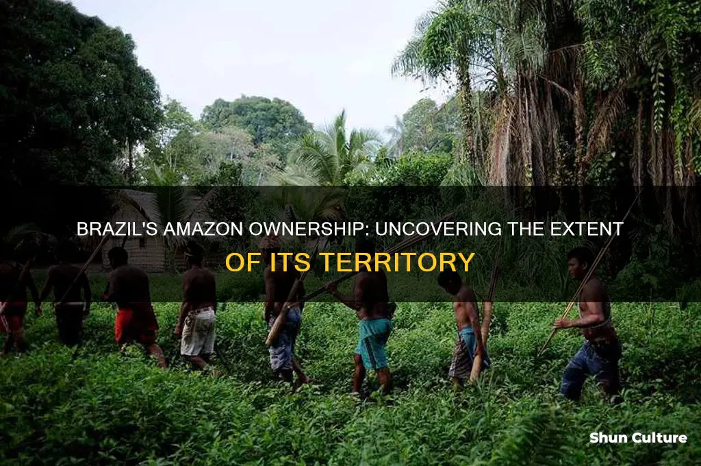 how much of the amazon is owned by brazil