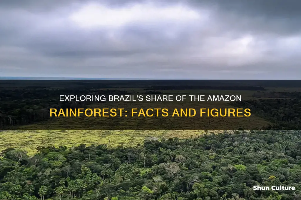 how much of the amazon rainforest is in brazil