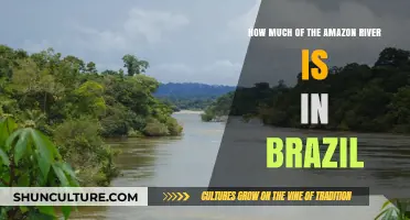 Exploring Brazil's Amazon River: How Much Lies Within Its Borders?