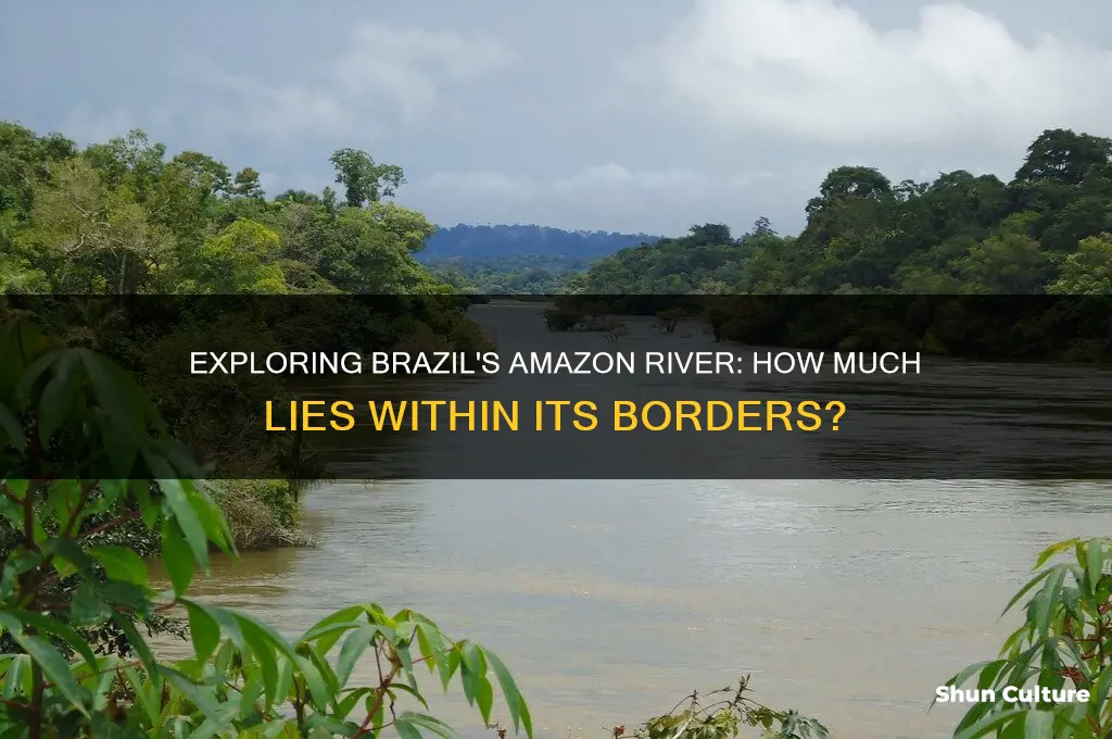how much of the amazon river is in brazil