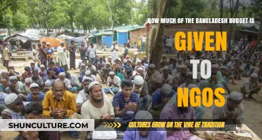 Bangladesh Budget Allocation: NGO Funding Insights and Analysis