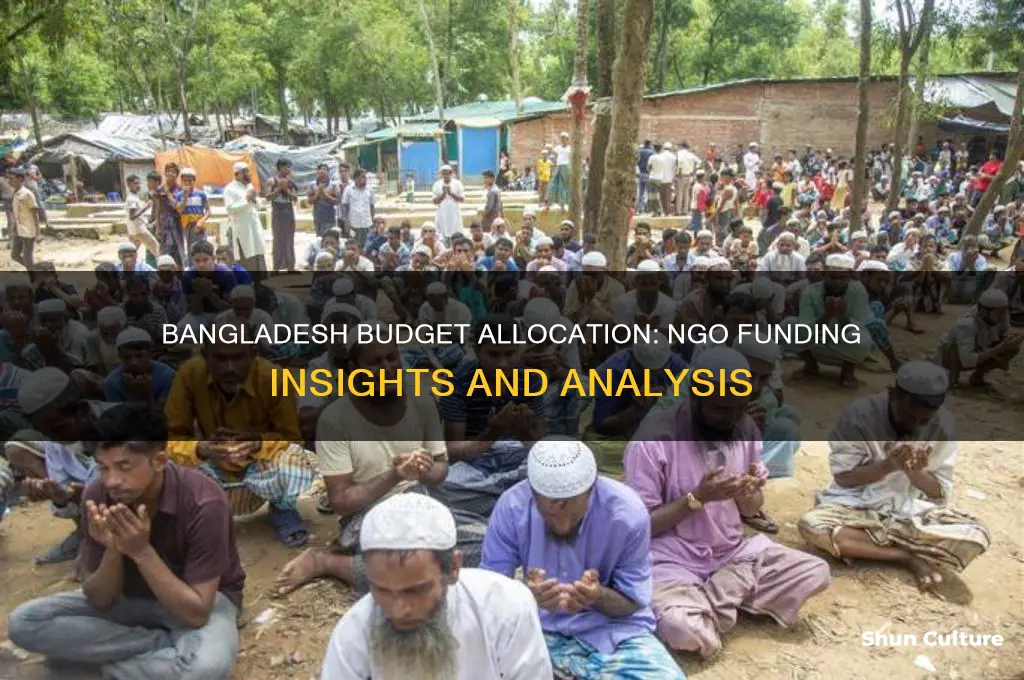 how much of the bangladesh budget is given to ngos