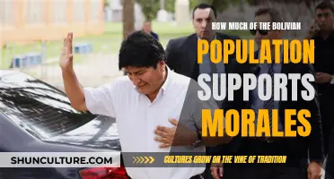 Morales' Support in Bolivia: Gauging the Public Sentiment