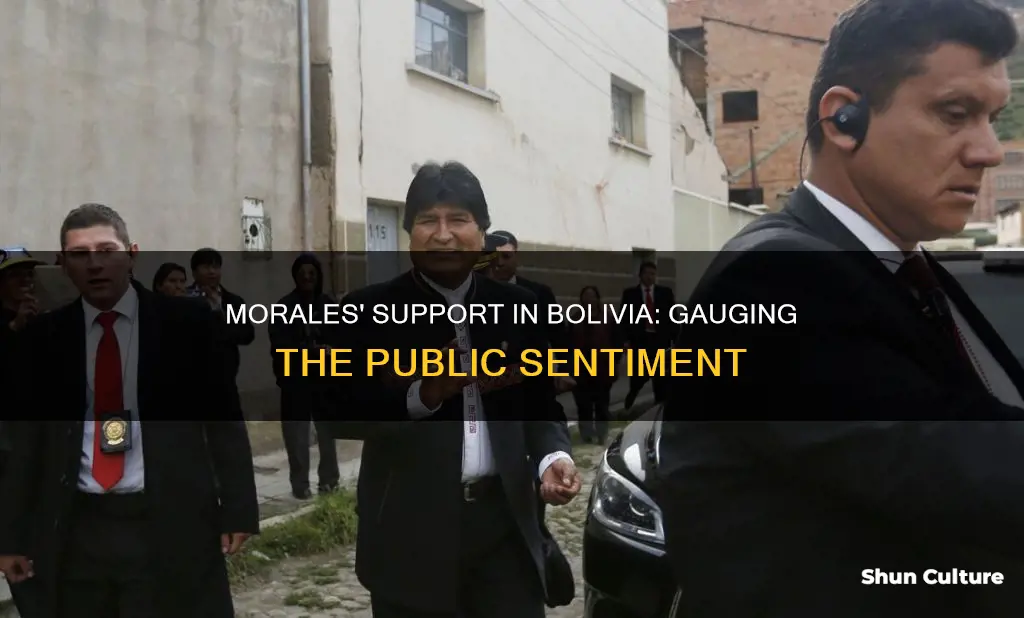 how much of the bolivian population supports morales