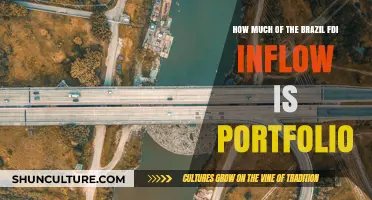 Brazil's FDI Inflow: Analyzing Portfolio Investment's Role and Impact