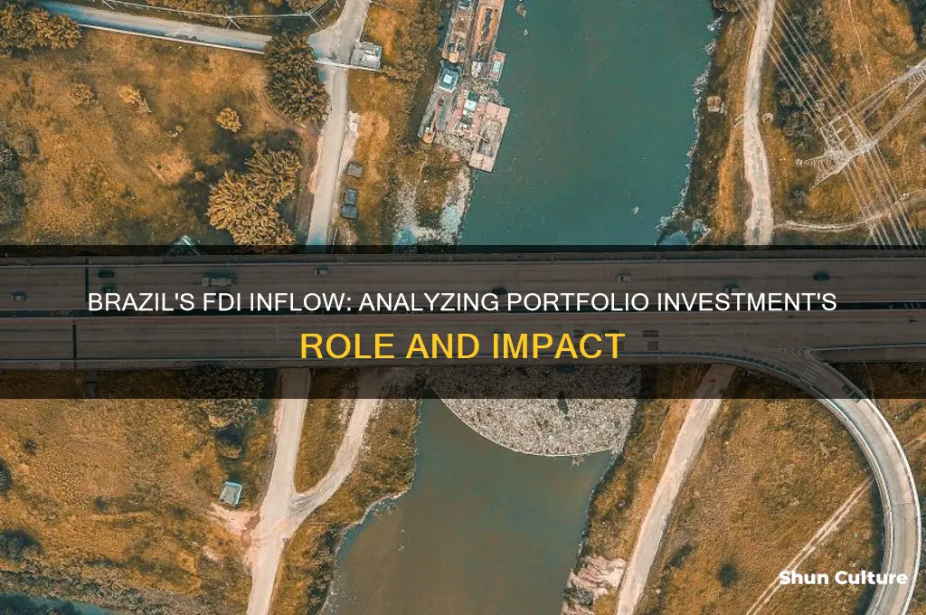 how much of the brazil fdi inflow is portfolio