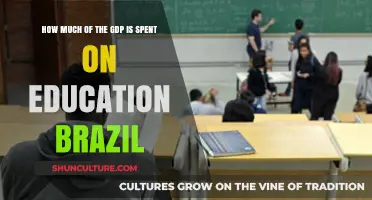 Brazil's Education Investment: Analyzing GDP Allocation for Learning