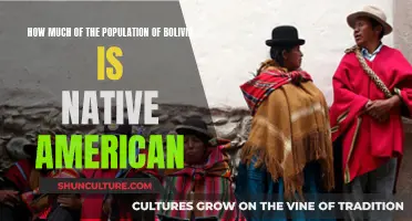 Bolivia's Indigenous Population: Understanding Their Presence