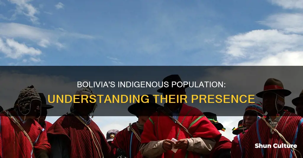 how much of the population of bolivia is native american