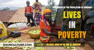 Examining the Poverty Landscape in Burundi: A Population Perspective