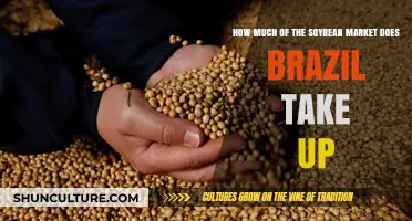 Brazil's Dominance: Unpacking Its Share of the Global Soybean Market