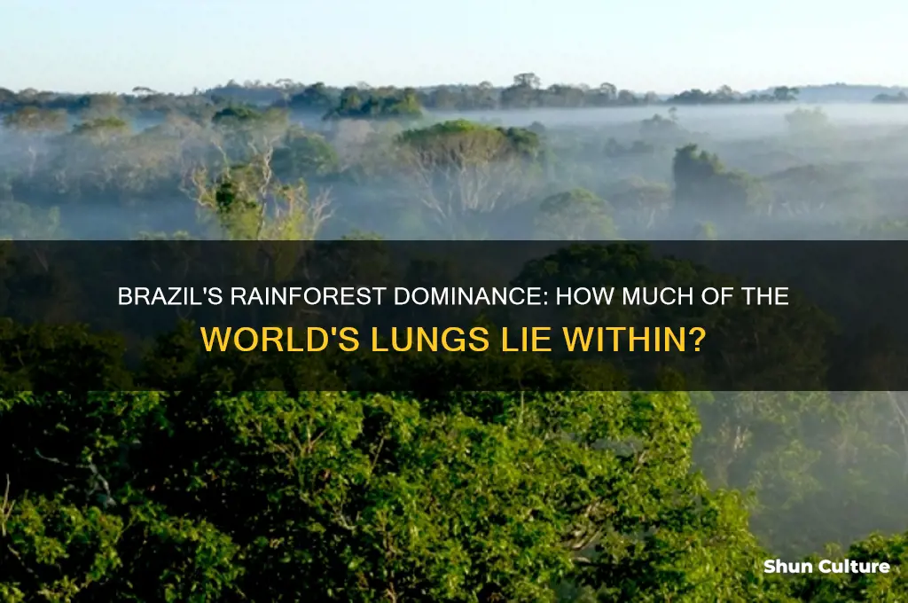 how much of the worlds rainforst is in brazil
