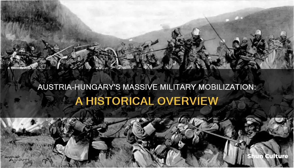 how much of their army did austria-hungary mobilize or move