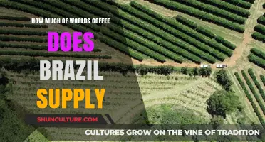 Brazil's Coffee Dominance: Global Supply and Market Impact Explained