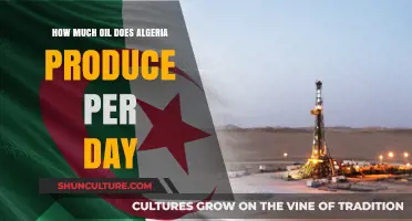 Algeria's Daily Oil Production: Current Output and Industry Insights